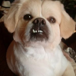 Meet your Posher, Melvin